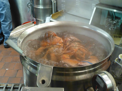 BO0334.jpg