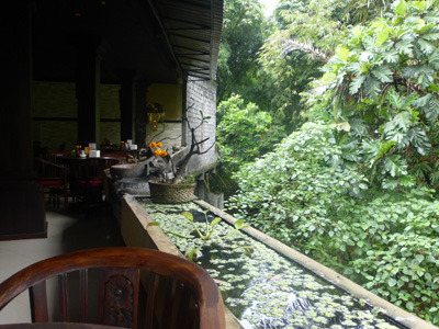 bali0603.jpg