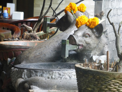 bali0604.jpg