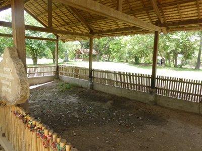 cambo1710.jpg