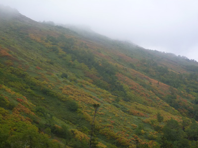 hokkaido5108.jpg