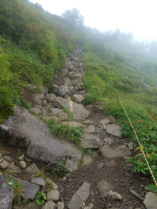 hokkaido5112.jpg