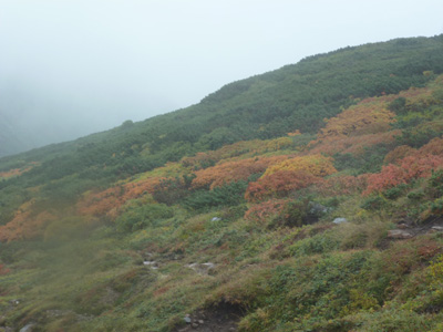 hokkaido5125.jpg