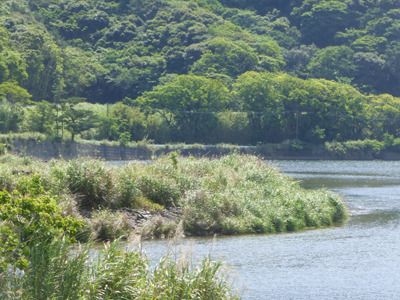 japan05901.jpg