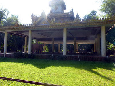 myan2316.jpg