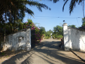 myan2334.jpg