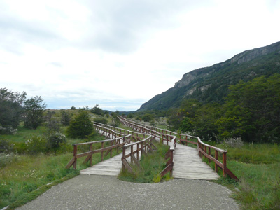 pata0904.jpg