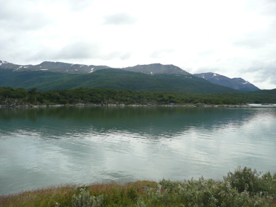 pata0905.jpg