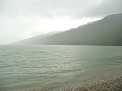 pata0907.jpg