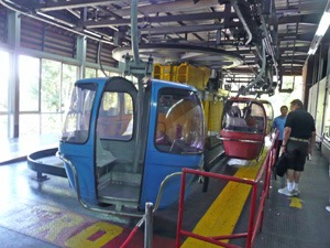 pata1123.jpg