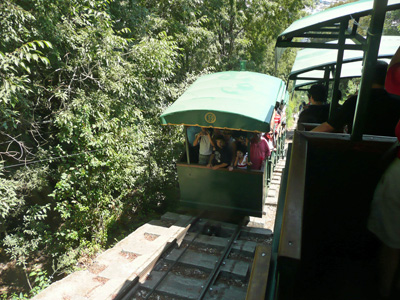pata1127.jpg