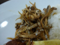 sebu0402.jpg