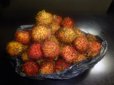 sumatera0363.jpg