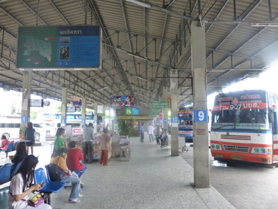 tahi24513.jpg