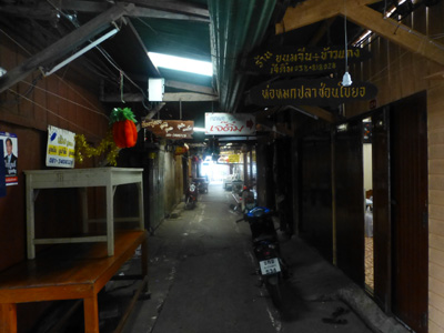 tahi24519.jpg