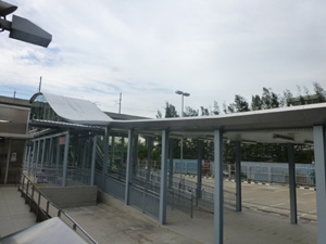 tahi24638.jpg