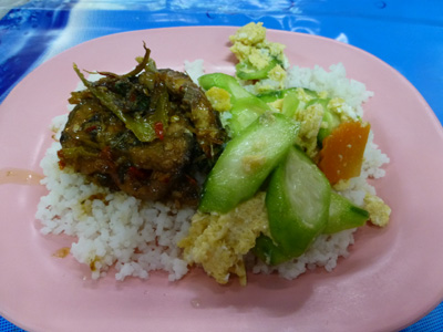 tahi24803.jpg