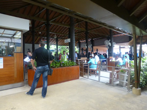 tahi26216.jpg