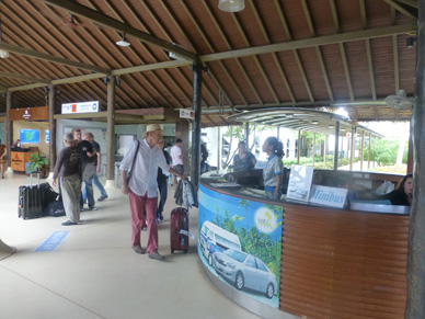 tahi26218.jpg
