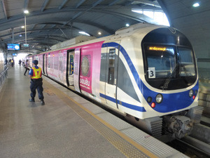 tahi27610.jpg
