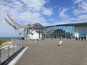 taiwan15317.jpg