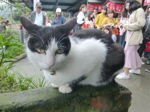 taiwan21133.jpg