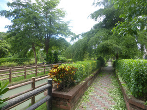 taiwan22234.jpg