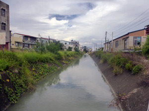 taiwan22235.jpg