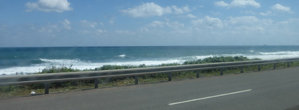 taiwan25218.jpg