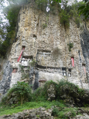 toraja0713.jpg