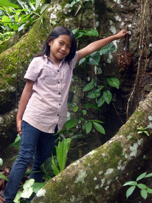 toraja0721.jpg